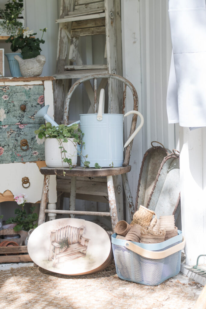 Soft blue watering can on an old farmhouse, weathered chair with a pot of creeping Charlie in the potting shed 