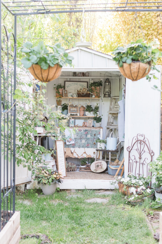 My potting shed I transformed from a tool shed.