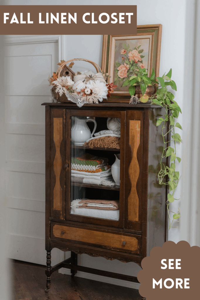 China cabinet turned into a linen closet 