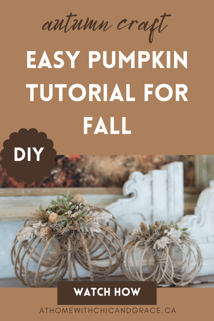 Jute Pumpkin PIN Graphic