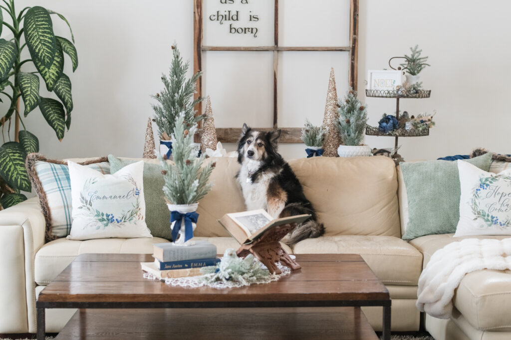 Blue, white and gold Christmas decor in the living room with a dog sitting on the couch 