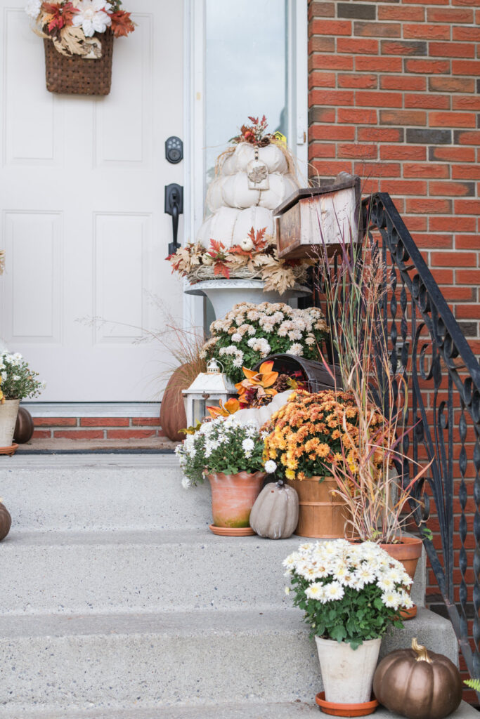 Fall chrysanthemums, and perennial grasses line the steps leading up to the front door, where the DIY dropcloth topper pumpkins are making another appearance 