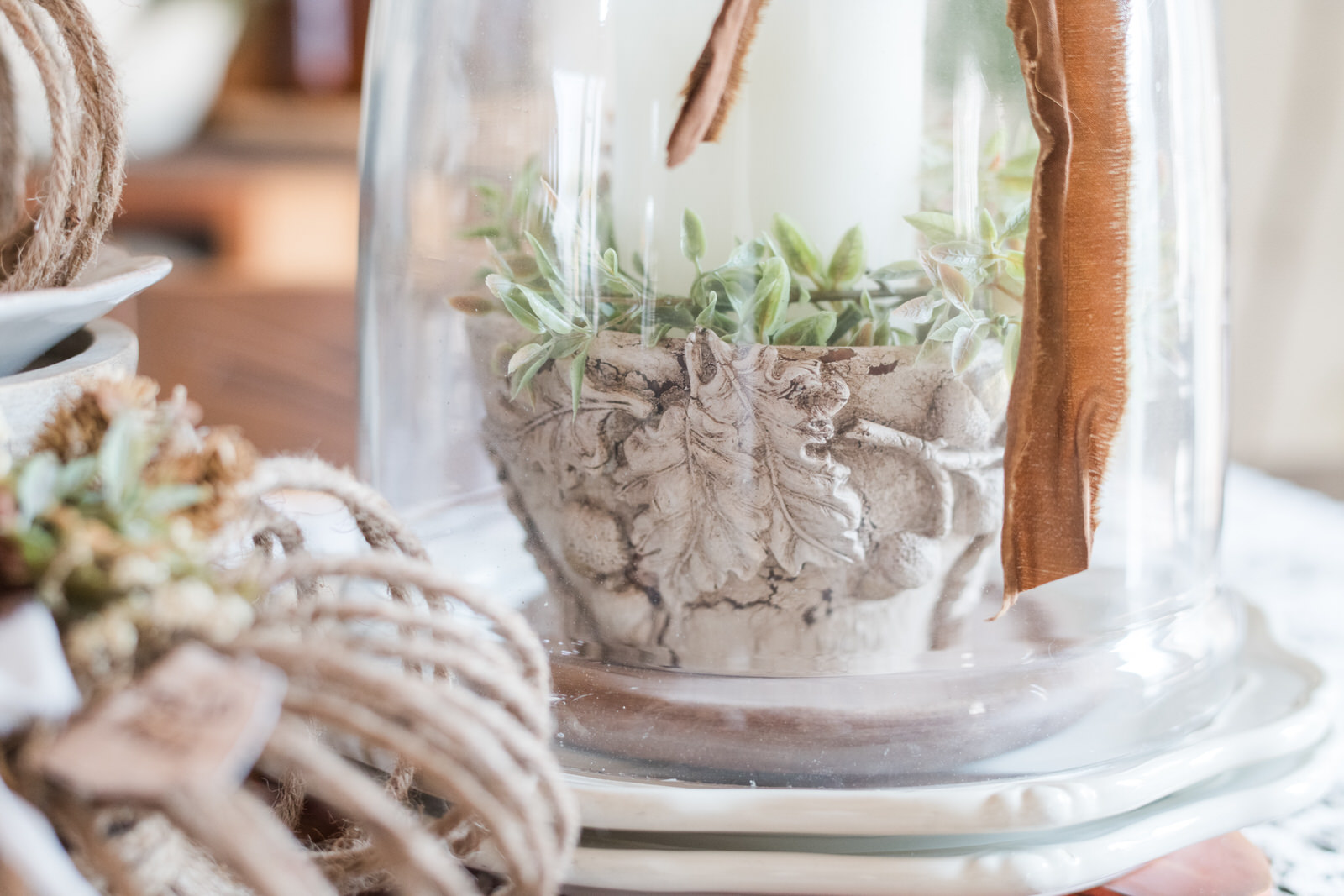 DIY chippy wood bowl with clay acorns styled under a glass cloche