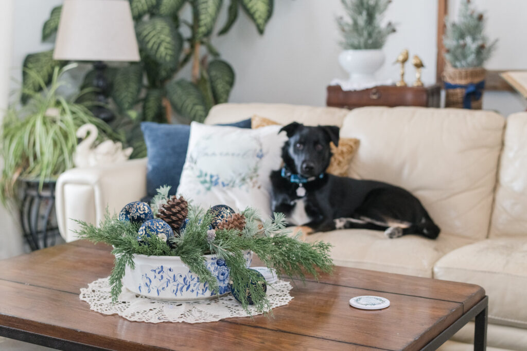 coffee table styled for Christmas with a bowl, greenery and blue velvet ornaments