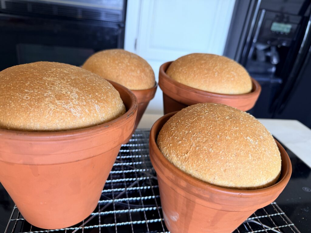Old Homestead Sage Bread cooling after being baked in terracotta pots